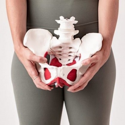 FizyoHera & Pilates Merkezi | Pendik Klinik Pilates ve Manuel Terapi